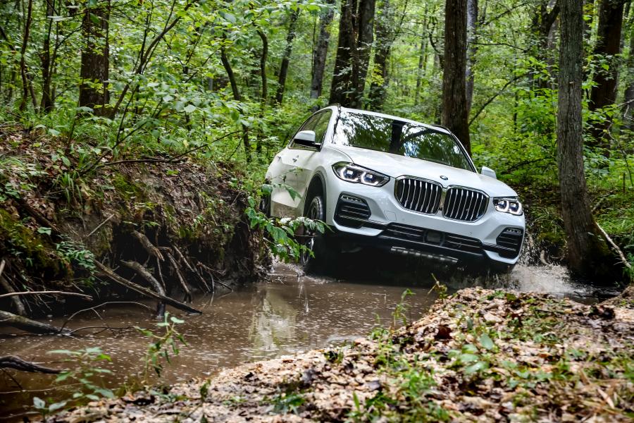  BMW X5 xDrive40i (G05) 2018 года  (WW) (фото 32 из 48)
